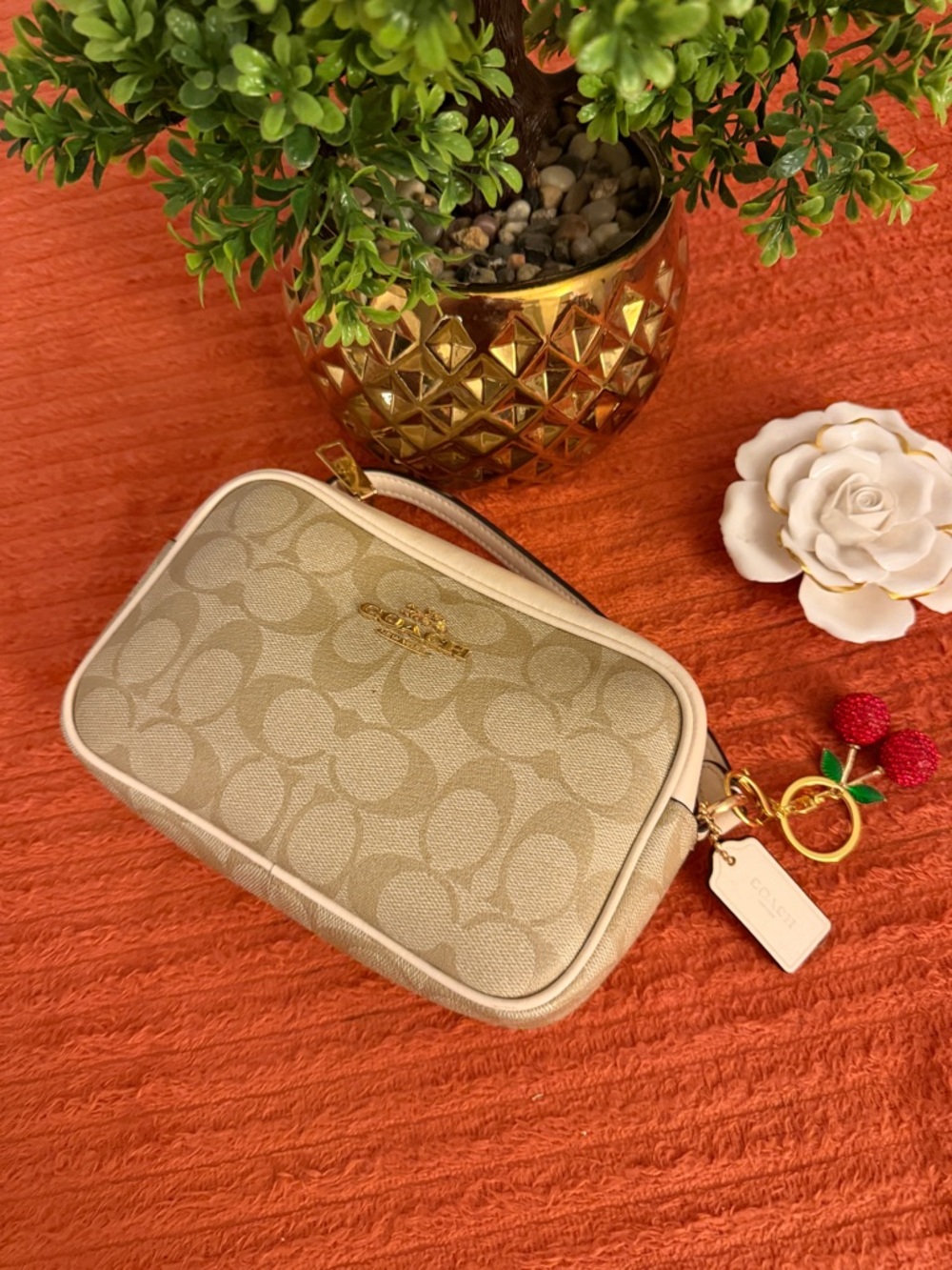 Coach Signature Monogram Crossbody Bag in Beige - Picture 3 of 16